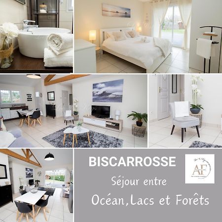 Ravissante Maison Cosy 4* Biscarrosse Proche Lac المظهر الخارجي الصورة